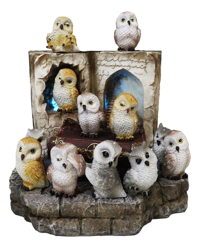 12 Colorful Mini Owls On Pentagram Spell Books With Secret Caverns LED Display