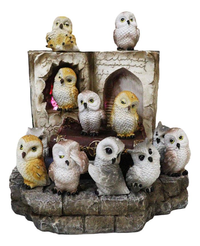 12 Colorful Mini Owls On Pentagram Spell Books With Secret Caverns LED Display