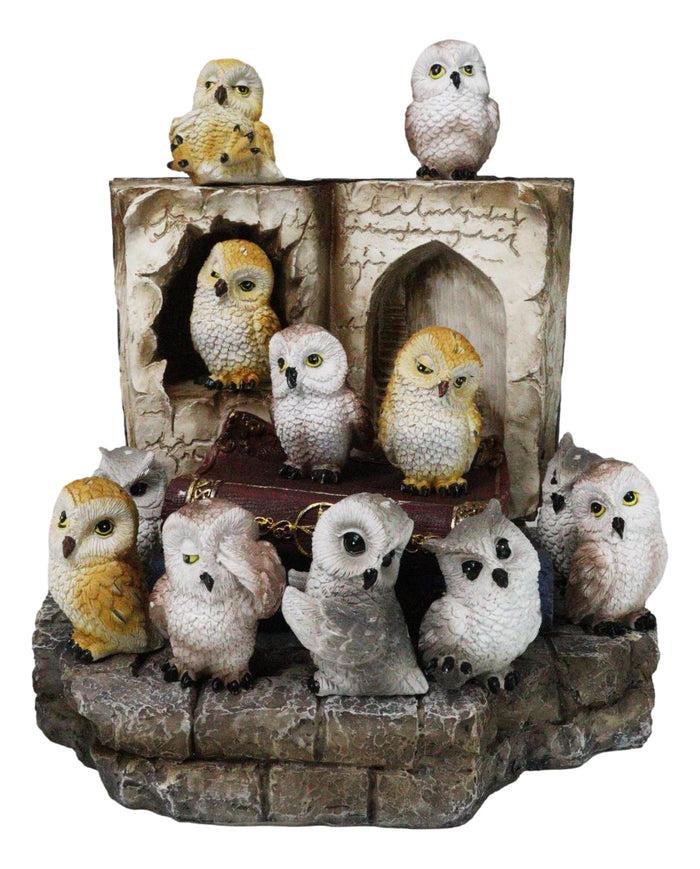 12 Colorful Mini Owls On Pentagram Spell Books With Secret Caverns LED Display