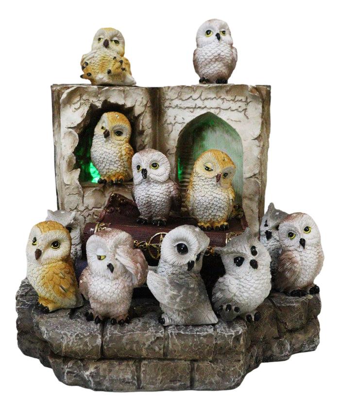 12 Colorful Mini Owls On Pentagram Spell Books With Secret Caverns LED Display
