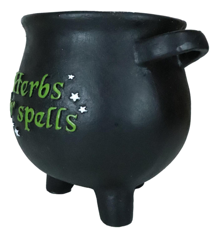 2-Pack Green Thumb Witch Gardening Black Herbs For Spells Cauldron Planter Pots