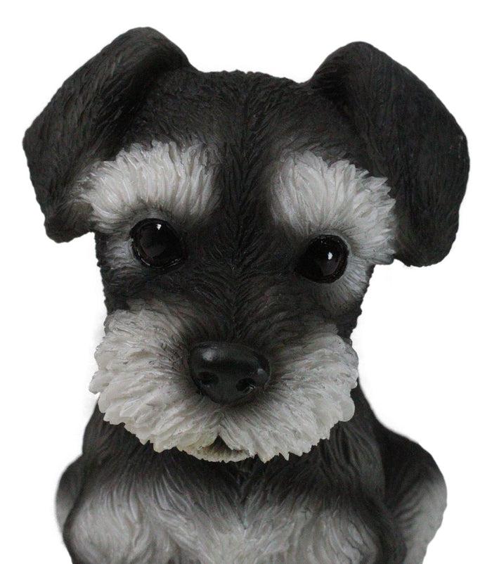Adorable Black And Silver Miniature Schnauzer Puppy Dog Home Decor Figurine