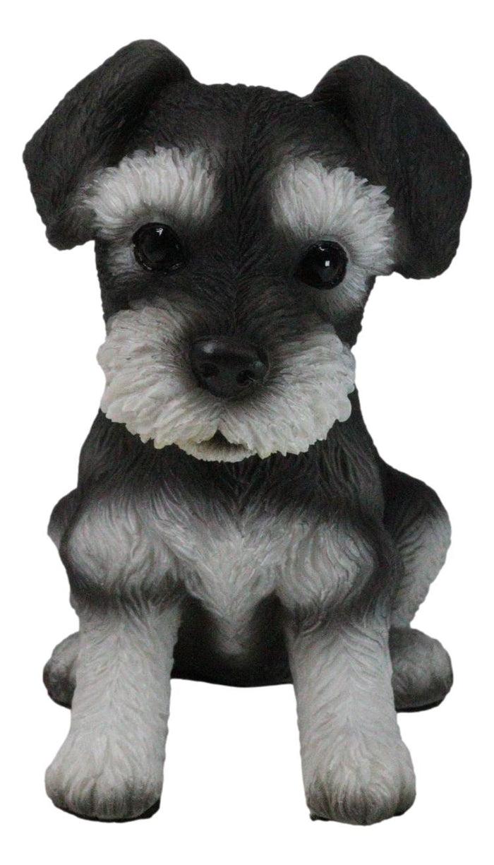 Adorable Black and Silver Miniature Schnauzer Puppy Dog Home Decor Figurine Adorable Black and Silver Miniature Schnauzer Puppy Dog Home Decor Figurine