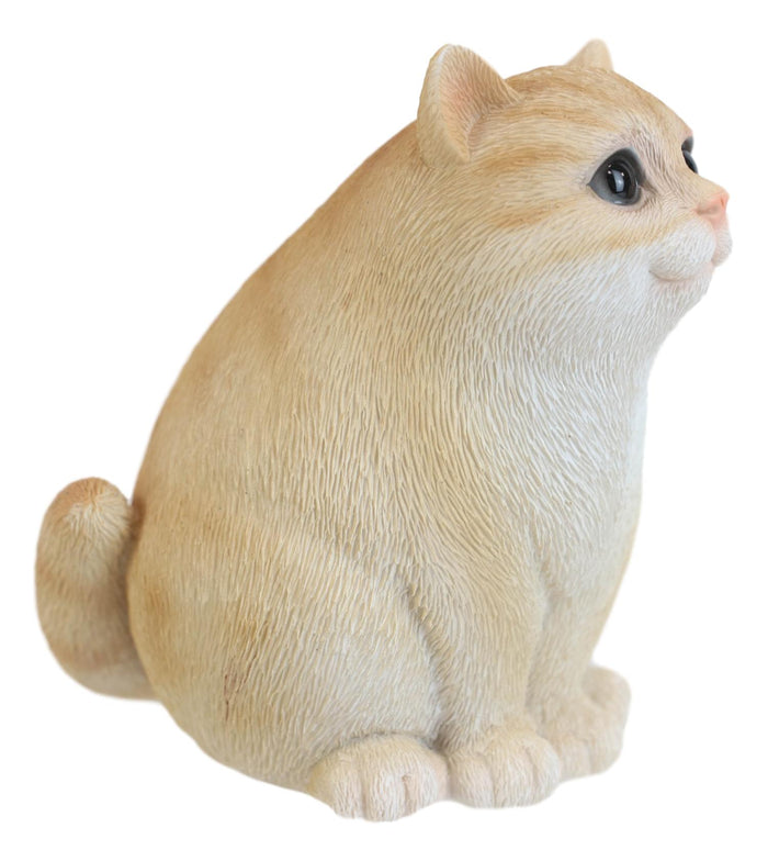 Adorable Feline Tabby Striped Fat Cat Kitten Figurine 4"H Miniature Lucky Cats