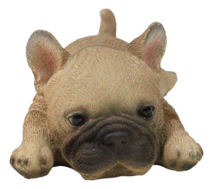 Adorable Frenchie French Bulldog Dog Fridge Magnet Figurine 5" Long Adorable Frenchie French Bulldog Dog Fridge Magnet Figurine 5" Long