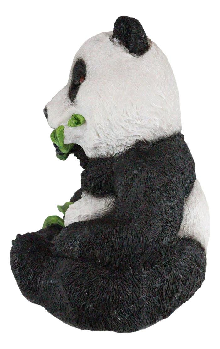 Adorable Giant Panda Bear Cub Eating Bamboo Leaves Figurine With Glass Eyes
