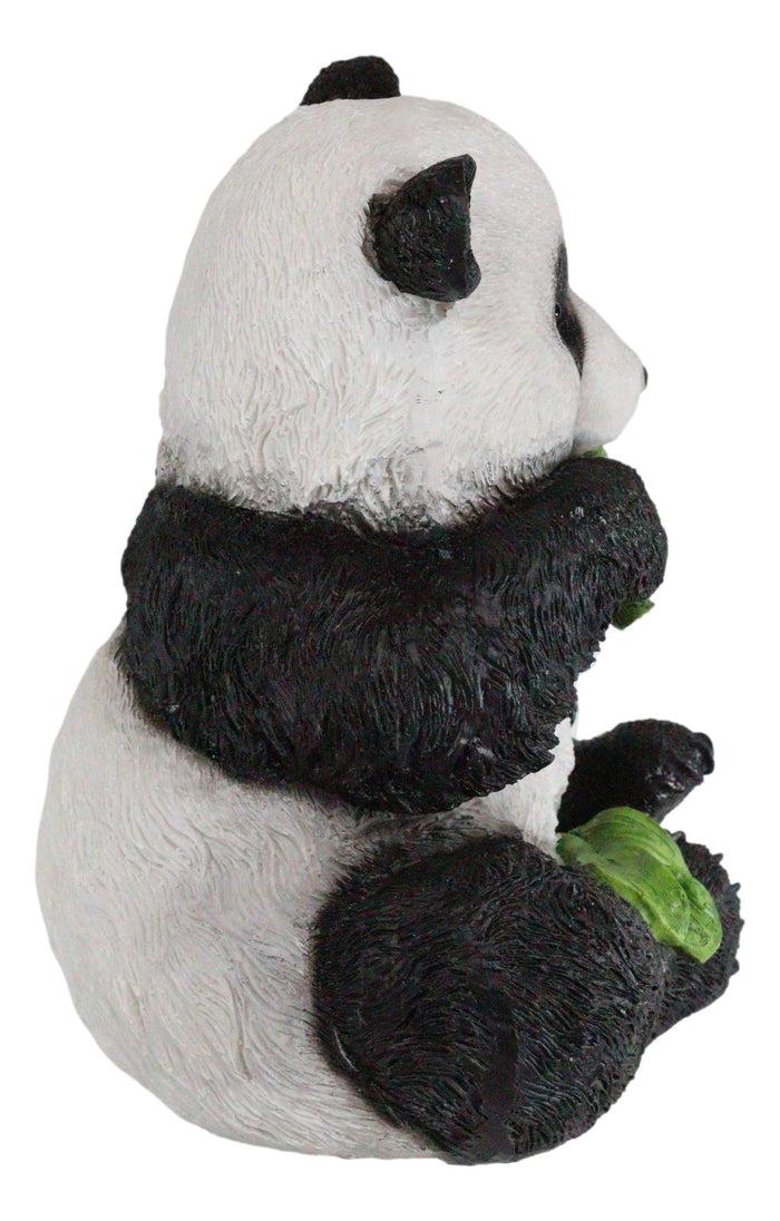 Adorable Giant Panda Bear Cub Eating Bamboo Leaves Figurine With Glass Eyes