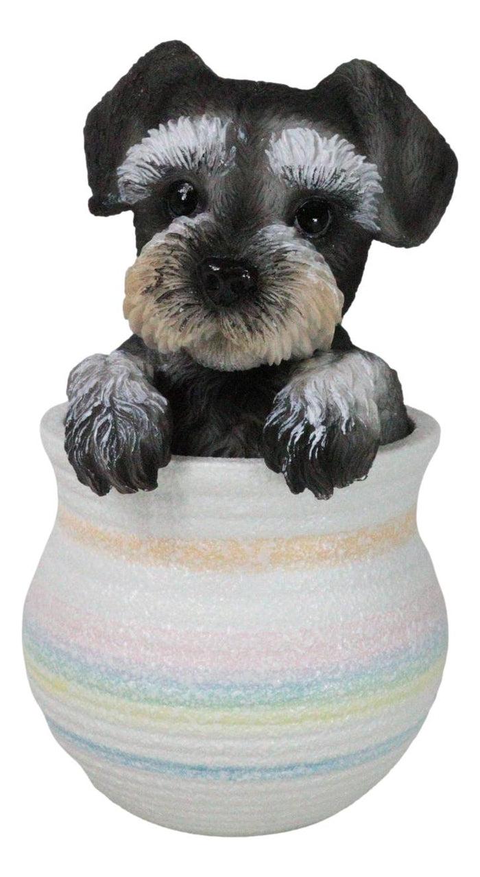 Adorable Grey Mini Schnauzer Puppy Dog Figurine With Glass Eyes Pup In Pot Adorable Grey Mini Schnauzer Puppy Dog Figurine With Glass Eyes Pup In Pot