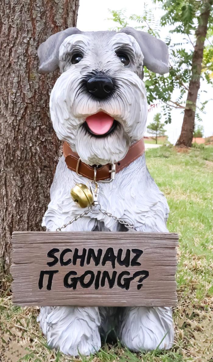 Adorable Grey Schnauzer Dog Sitting With Jingle Collar Greetings Sign Statue Adorable Grey Schnauzer Dog Sitting With Jingle Collar Greetings Sign Statue