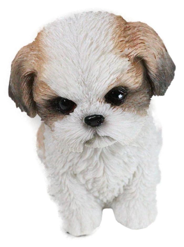 Adorable Lifelike Shih Tzu Puppy Dog Sitting Figurine With Glass Eyes Home Decor