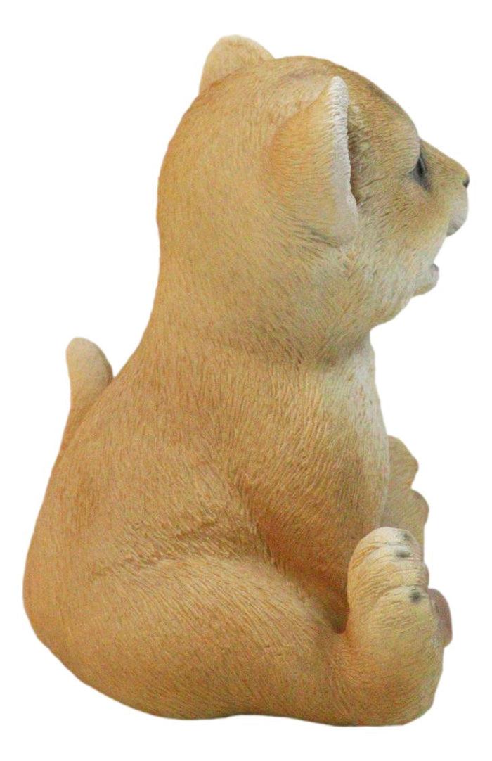 Adorable Prince Of The Safari Jungle Forest African Lion Cub Figurine 4" Long