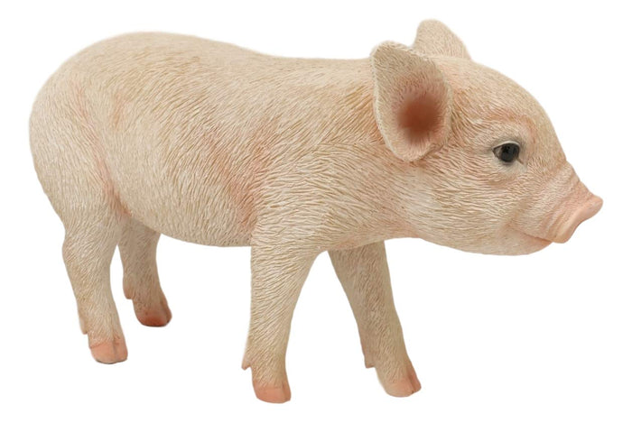 Adorable Realistic Animal Farm Babe Piglet Pig Statue 8"L Rustic Country Pigs