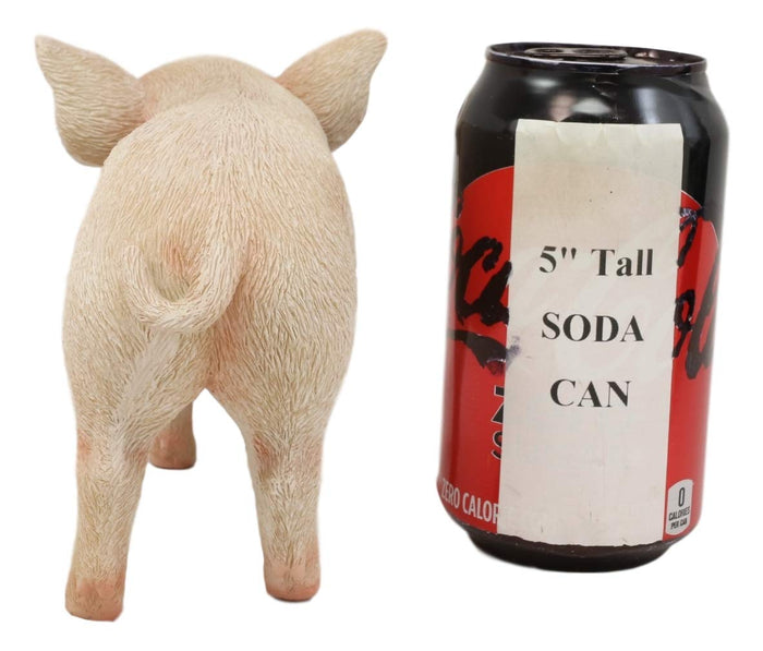 Adorable Realistic Animal Farm Babe Piglet Pig Statue 8"L Rustic Country Pigs