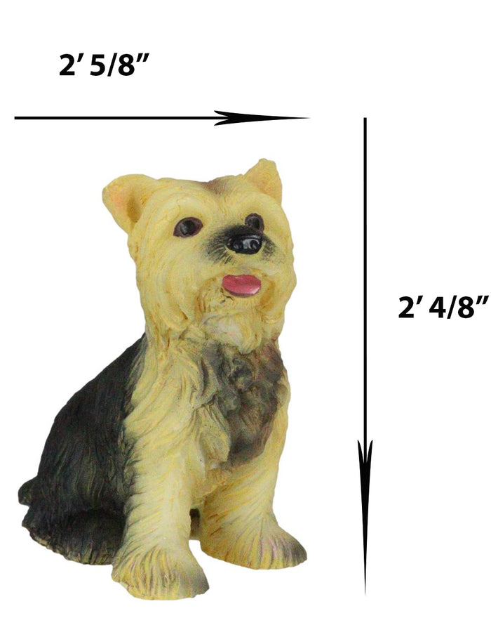 Adorable Yorkie Puppy Dog Pet Pal Dollhouse Mini Figurine Yorkshire Terrier