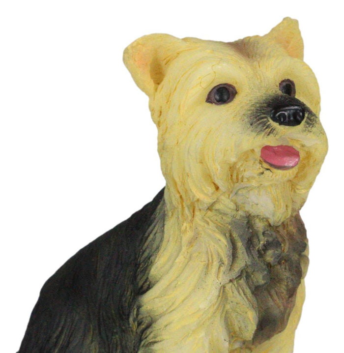 Adorable Yorkie Puppy Dog Pet Pal Dollhouse Mini Figurine Yorkshire Terrier