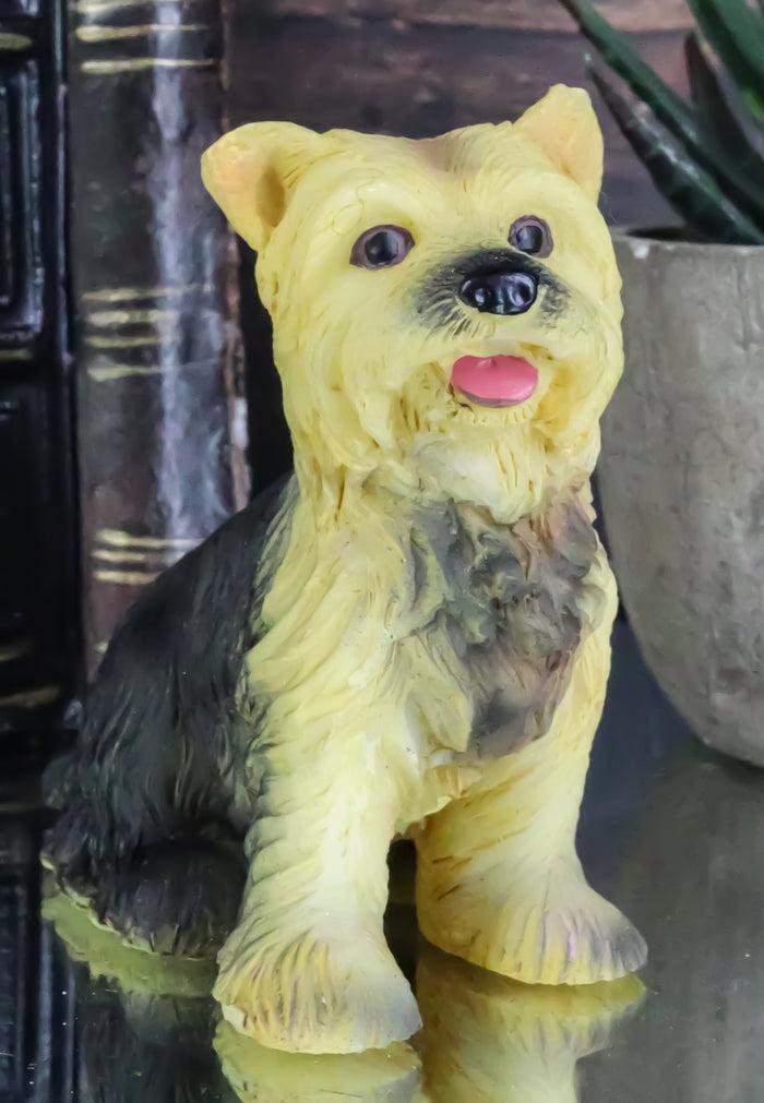 Adorable Yorkie Puppy Dog Pet Pal Dollhouse Mini Figurine Yorkshire Terrier Adorable Yorkie Puppy Dog Pet Pal Dollhouse Mini Figurine Yorkshire Terrier