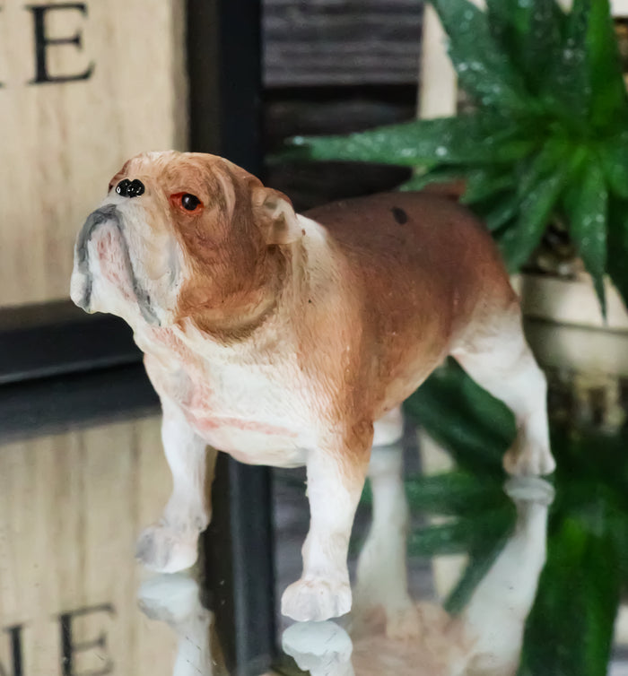 American Pedigree Dogs Lifelike Bulldog Bull Puppy Dog Miniature Figurine American Pedigree Dogs Lifelike Bulldog Bull Puppy Dog Miniature Figurine