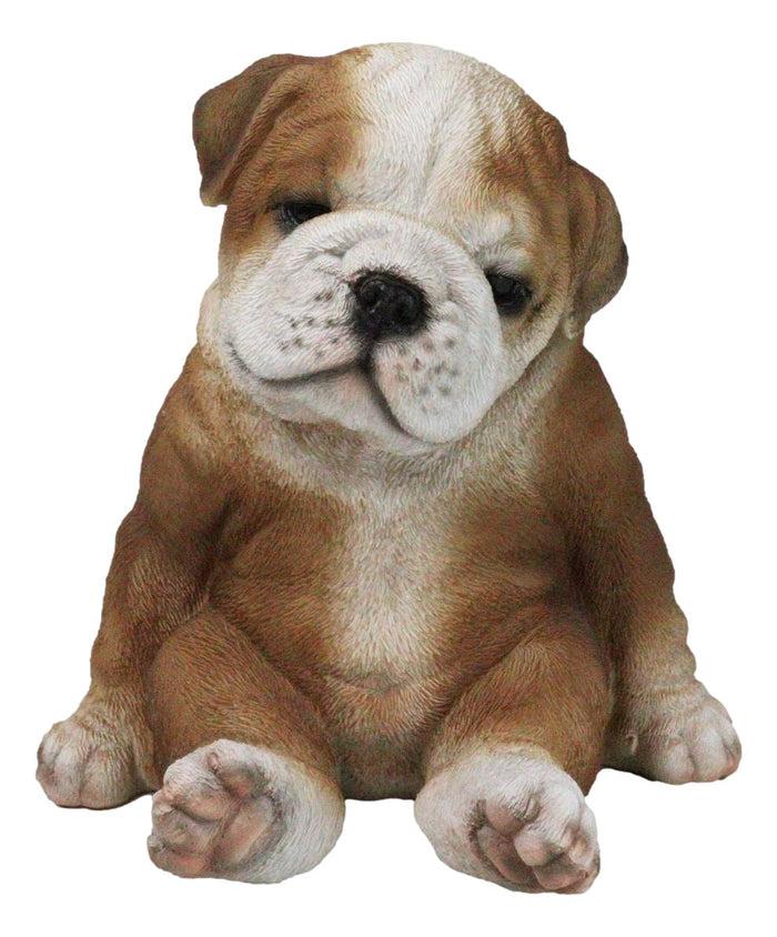 American Pedigree Dogs Lifelike Bulldog Puppy Dog Laid Back Sitting Figurine American Pedigree Dogs Lifelike Bulldog Puppy Dog Laid Back Sitting Figurine