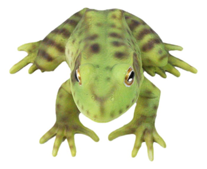 Amphibian Wild Creatures Realistic Green Frog Decorative Figurine