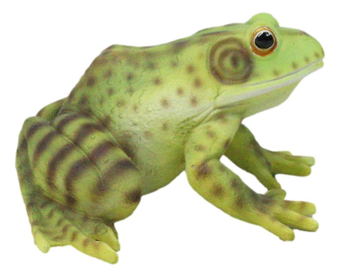 Amphibian Wild Creatures Realistic Green Frog Decorative Figurine Amphibian Wild Creatures Realistic Green Frog Decorative Figurine