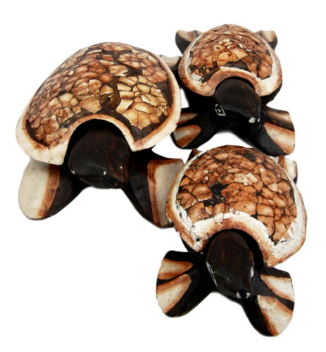 Balinese Wood Handicrafts Sea Turtle Tortoise Family Ashtray Box Figurine Set