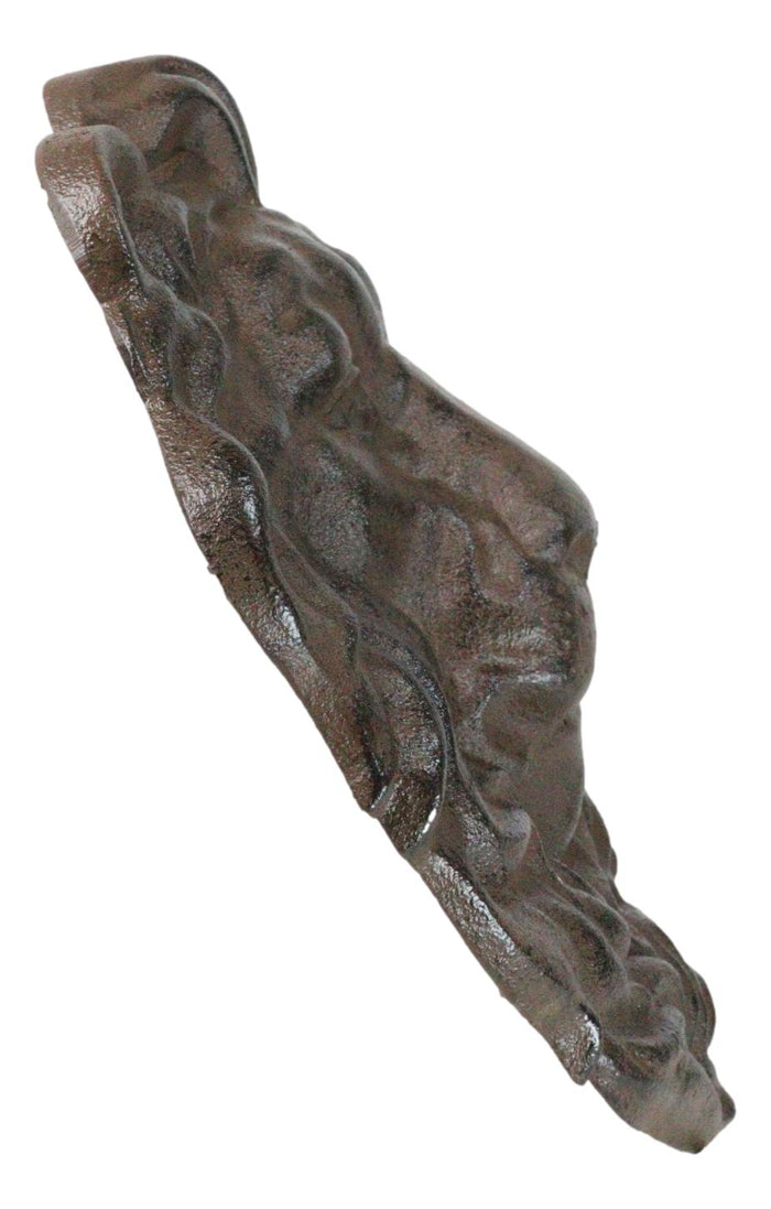 Cast Iron Aslan The King Of The Jungle Regal Lion Head Wall Plaque Figurine