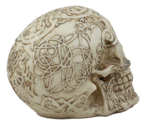 Celtic Tribal Tattoo Homo Sapien Skull Statue Ossuary Skeleton Cranium Figurine
