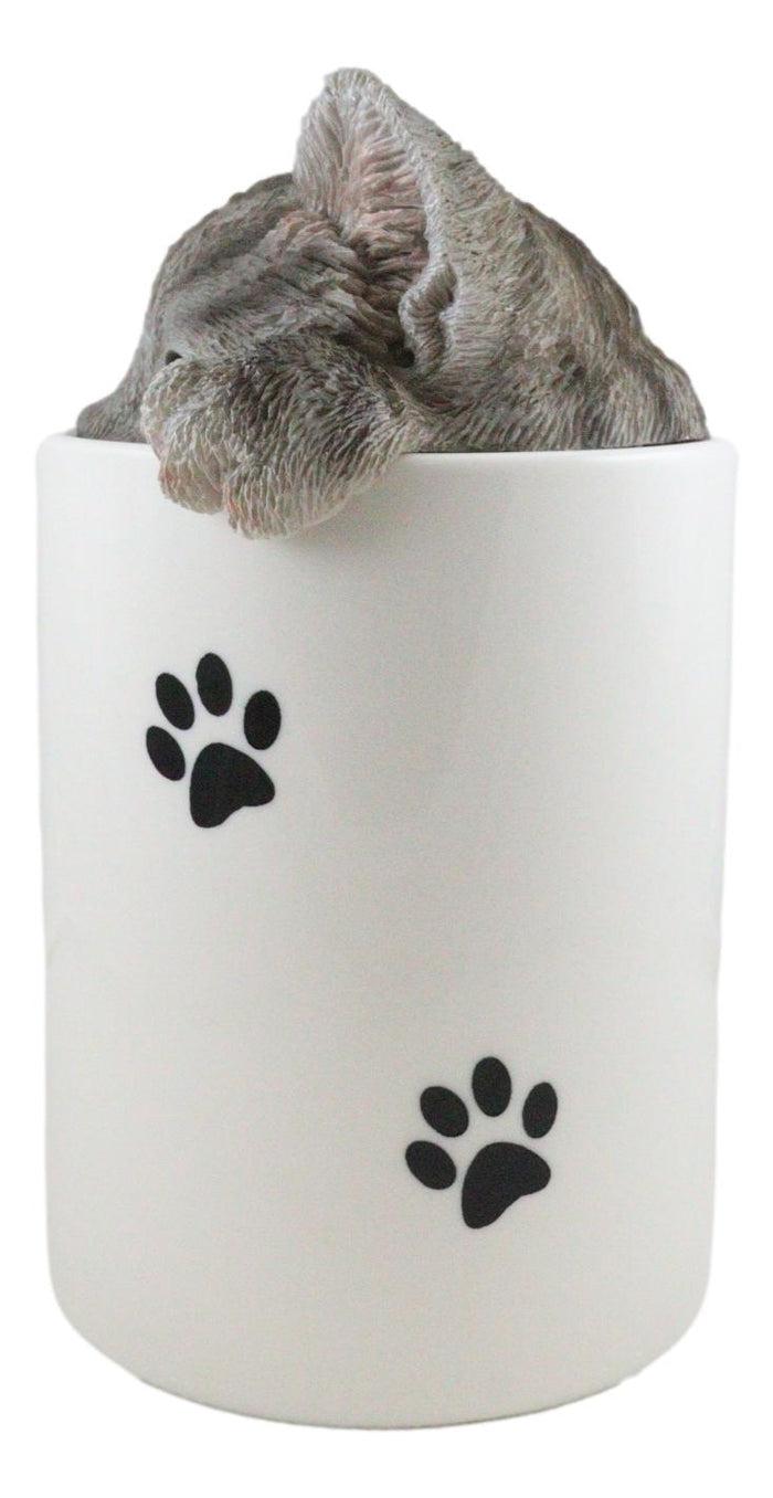 Ceramic Gray Tabby Cat Hiding And Peeking Dry Storage Jar With Paw Prints Decor