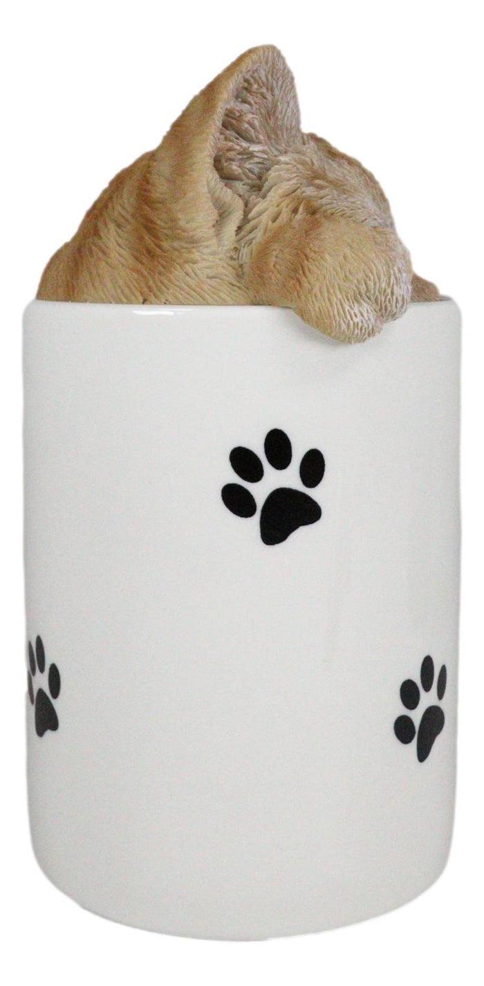 Ceramic Orange Tabby Cat Hiding And Peeking Dry Storage Jar With Paw Prints