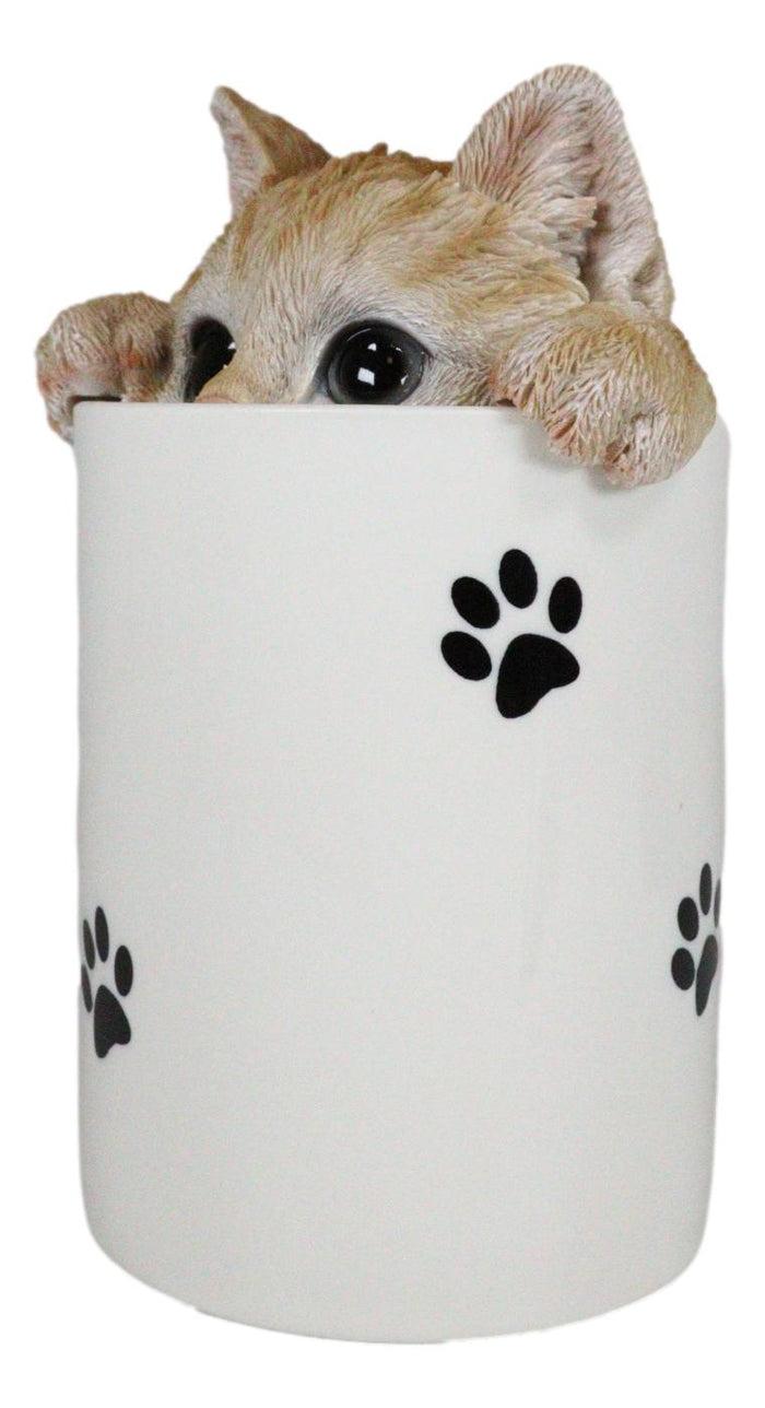Ceramic Orange Tabby Cat Hiding And Peeking Dry Storage Jar With Paw Prints