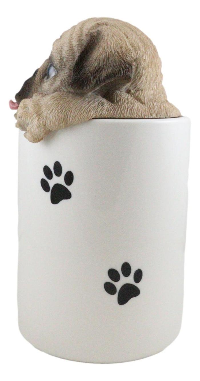 Ceramic Pug Puppy Dog Hiding And Peeking Dry Storage Jar With Paw Prints Decor