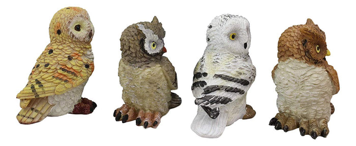 Colorful Nocturnal Owls Of The World Miniature Figurine Set Of 4 Owl Theme Decor