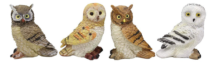 Colorful Nocturnal Owls Of The World Miniature Figurine Set Of 4 Owl Theme Decor
