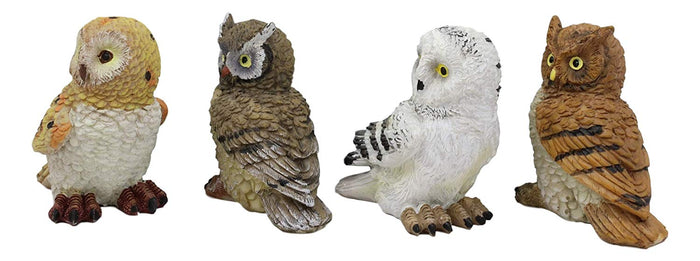 Colorful Nocturnal Owls Of The World Miniature Figurine Set Of 4 Owl Theme Decor