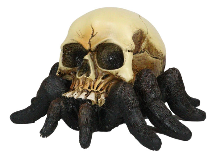 Creepy Crawler Tarantula Arachnid Skulltula Spider Bizarre Skull Figurine Decor