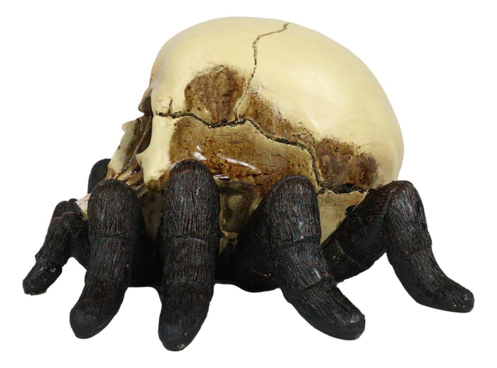 Creepy Crawler Tarantula Arachnid Skulltula Spider Bizarre Skull Figurine Decor