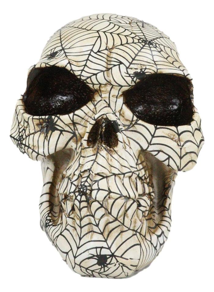 Creepy Crawler Tarantula Arachnid Spider With Cobwebs Skull Figurine Decor