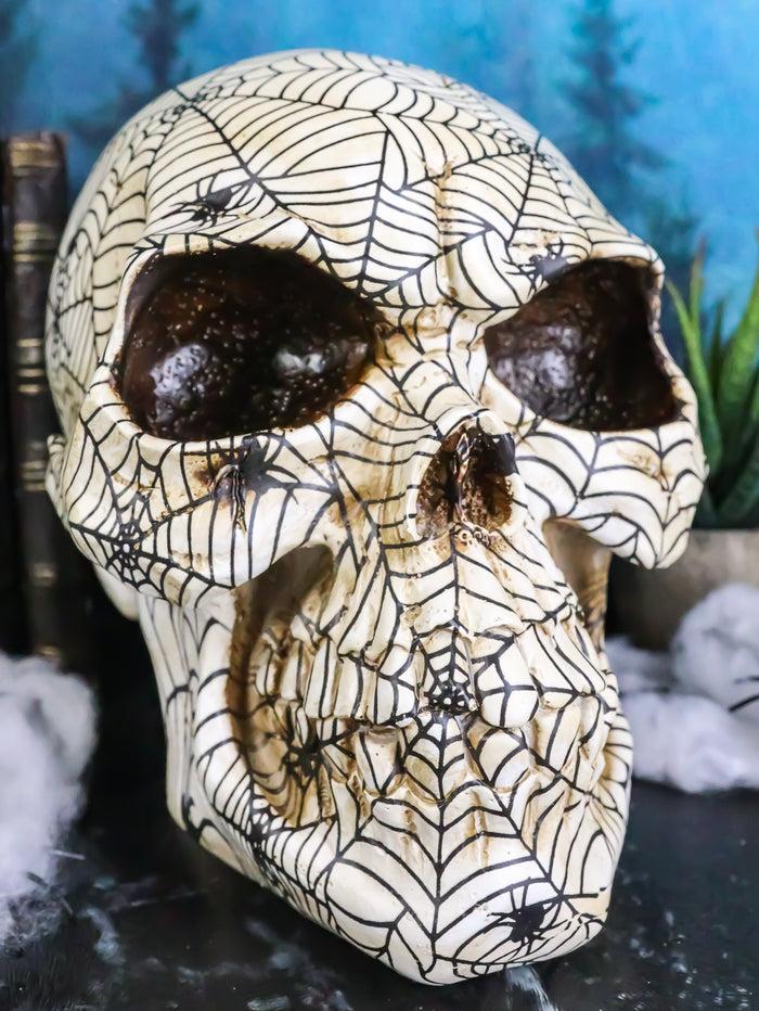 Creepy Crawler Tarantula Arachnid Spider With Cobwebs Skull Figurine Decor Creepy Crawler Tarantula Arachnid Spider With Cobwebs Skull Figurine Decor
