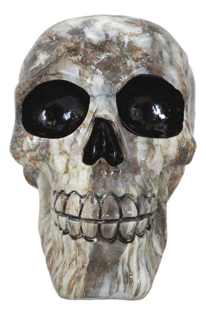 Day Of The Dead Agate Gemstone Volcanic Rock Quartz Skull Ossuary Figurine