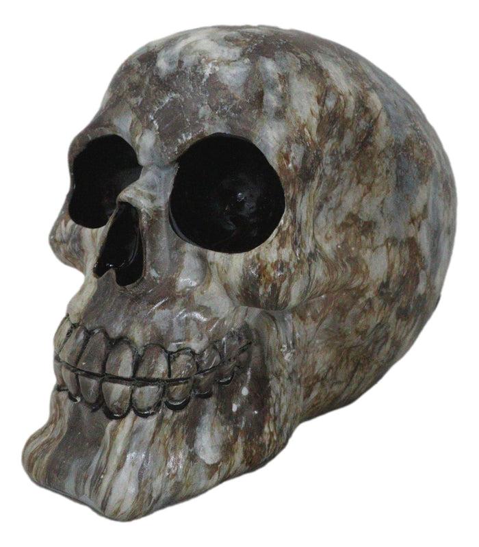 Day Of The Dead Agate Gemstone Volcanic Rock Quartz Skull Ossuary Figurine