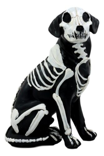 Day Of The Dead Bone Skeleton Dog Statue 7.5"H X-Ray Canine Skeleton Anatomy Day Of The Dead Bone Skeleton Dog Statue 7.5"H X-Ray Canine Skeleton Anatomy