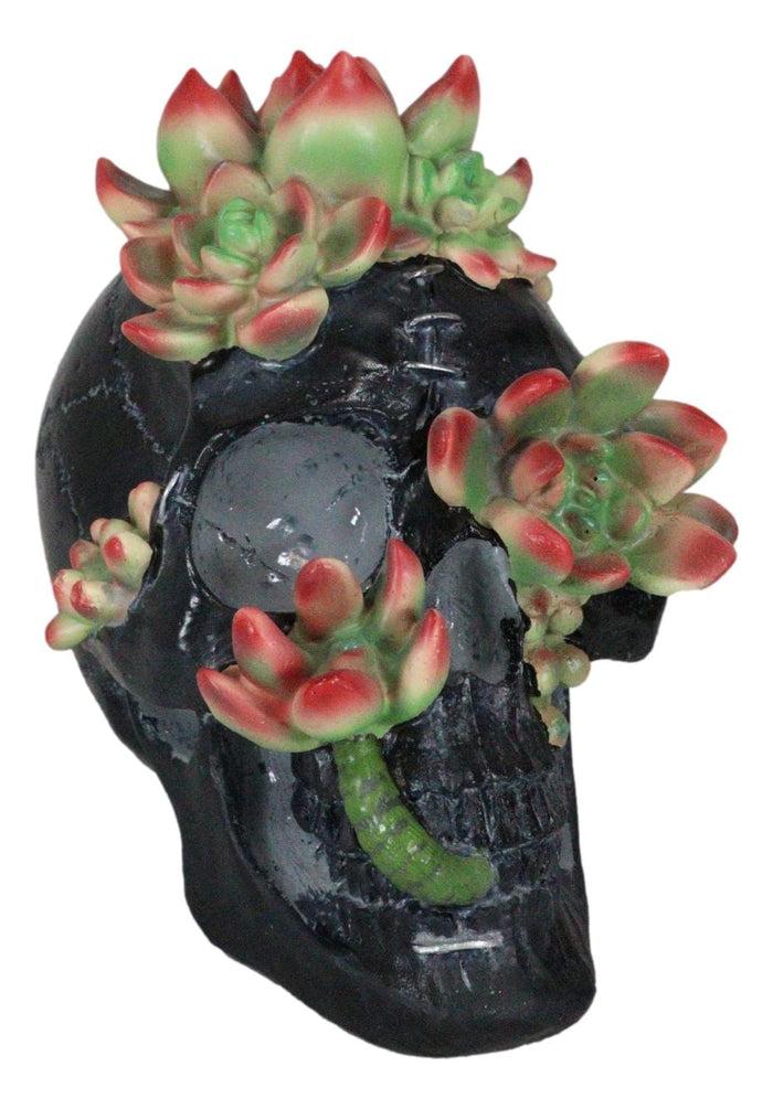 Day Of The Dead Flora And Fauna Black Skull With Budding Succulents Figurine