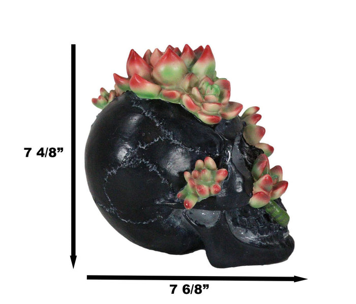 Day Of The Dead Flora And Fauna Black Skull With Budding Succulents Figurine