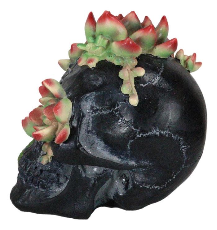 Day Of The Dead Flora And Fauna Black Skull With Budding Succulents Figurine