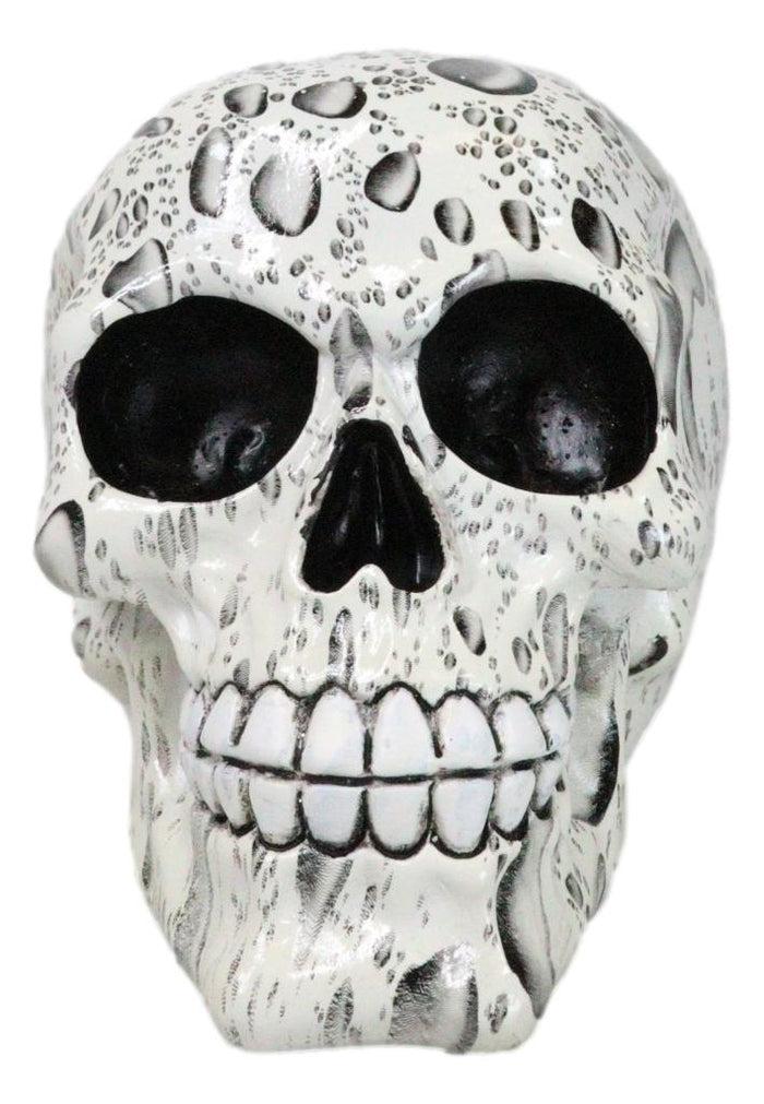 Day Of The Dead Raindrops Water Droplets Scene Gothic Skull Figurine Skeleton
