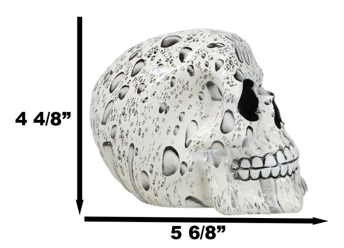 Day Of The Dead Raindrops Water Droplets Scene Gothic Skull Figurine Skeleton