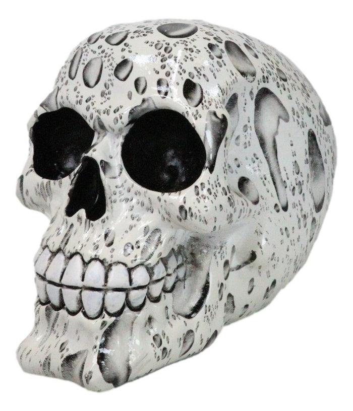 Day Of The Dead Raindrops Water Droplets Scene Gothic Skull Figurine Skeleton
