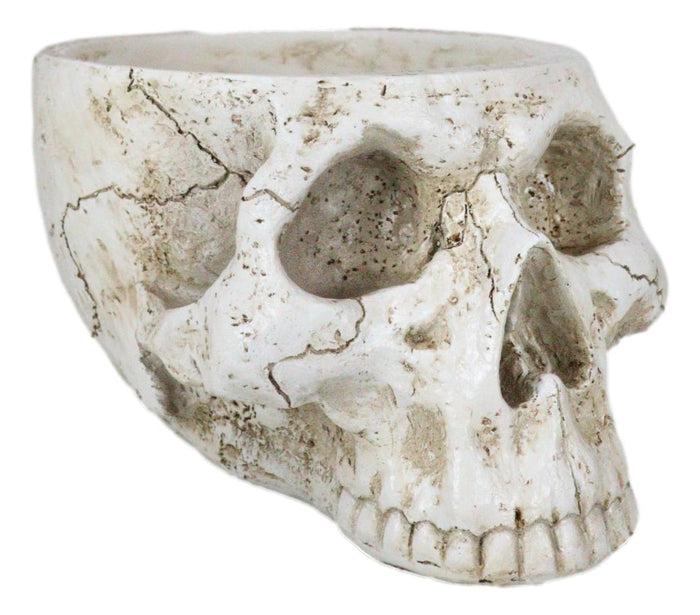 Day Of The Dead Skeleton Half Skull Bowl Treat Planter Holder Vase Figurine