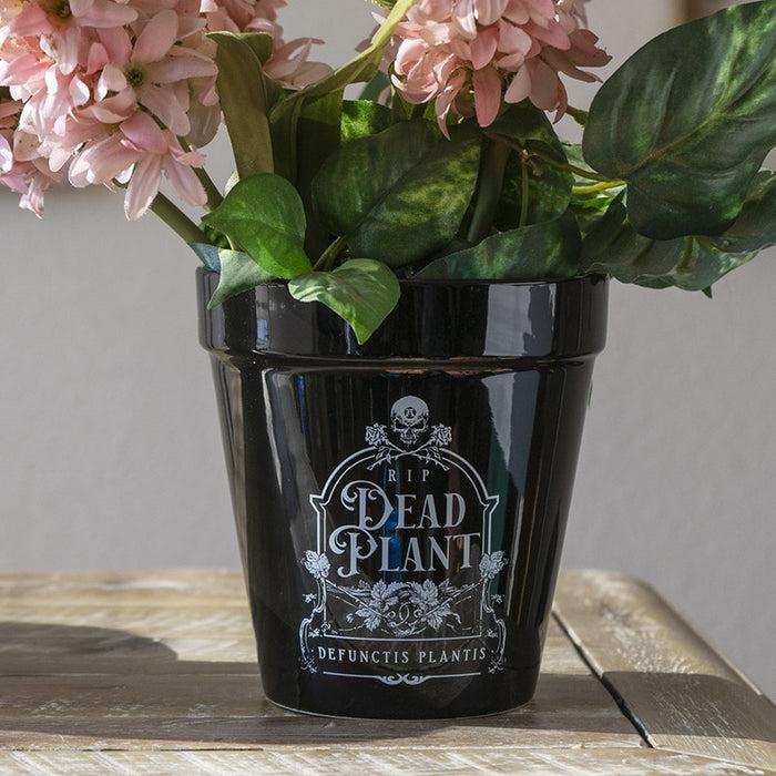 Dead Plant RIP Skull Grave Tombstone Wicca Witch Flower Herbs Planter Pot Dead Plant RIP Skull Grave Tombstone Wicca Witch Flower Herbs Planter Pot
