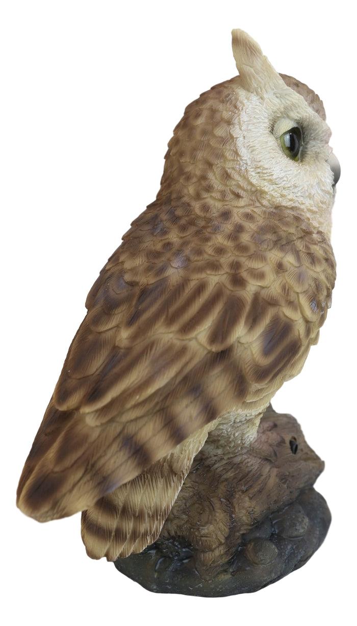 Eagle Owl Owlet Baby On Tree Stump With Motion Sensor Live Hooting Sound Statue